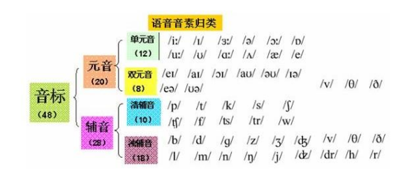 元音音素与辅音音的奥秘，语言中的两种基本元素