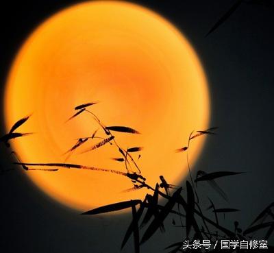 人生如月，悲欢离合与阴晴圆缺的交织