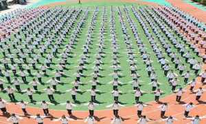 二本学院体育生录取分，探索与解析