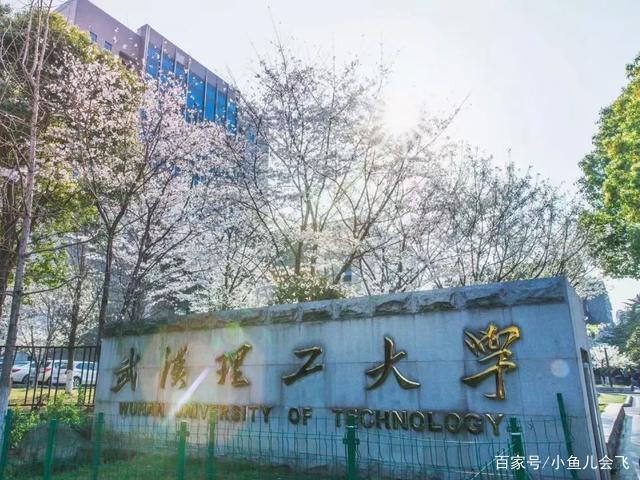 武汉理工大学专业分数线详解