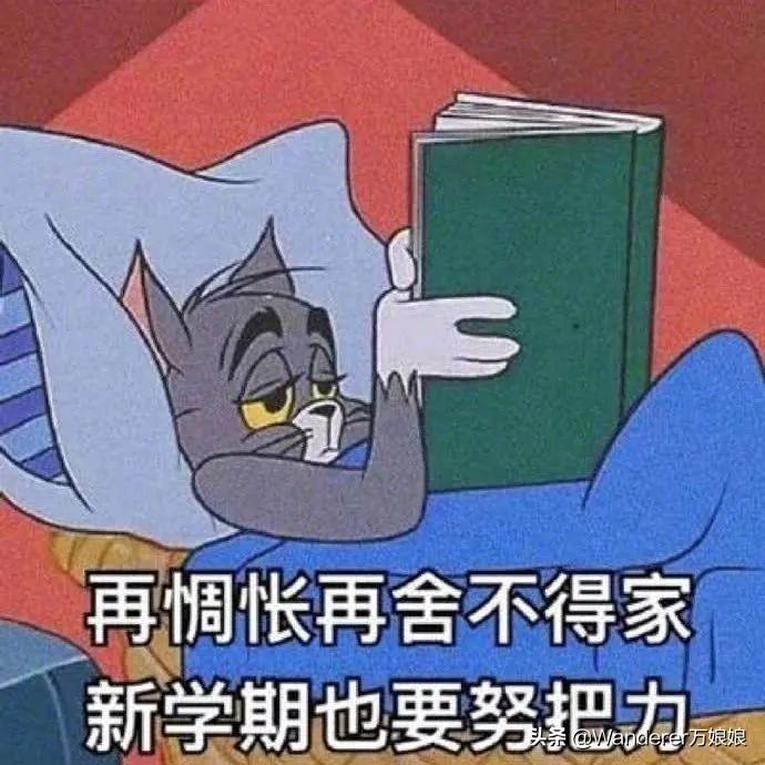 高考40分，挑战与机遇并存