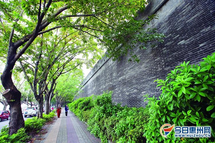 隋朝之前的时代变迁与历史文化脉络