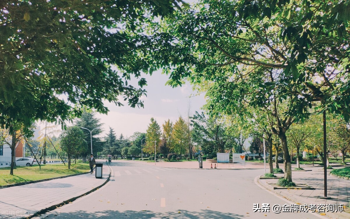 四川单招最好的学校——探索优秀教育资源的新高地