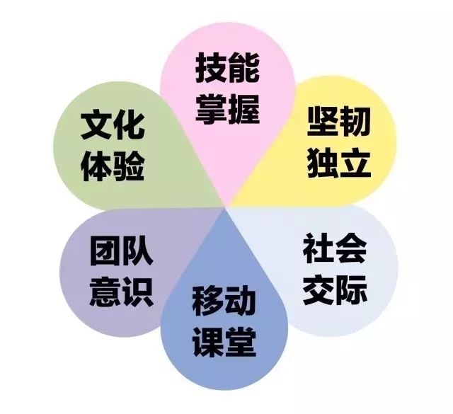 生物技术就业方向，未来之路的探索与挑战