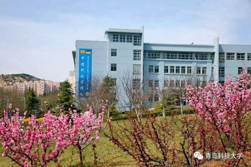 青岛科技大学，一所综合性大学的身份与探索