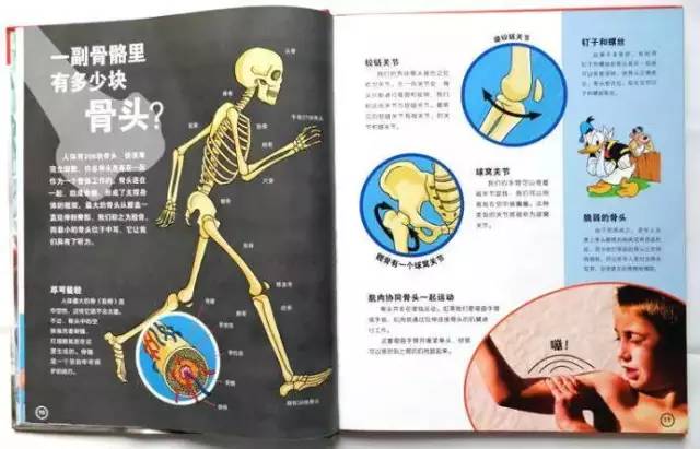 超越之下，反义词的探索