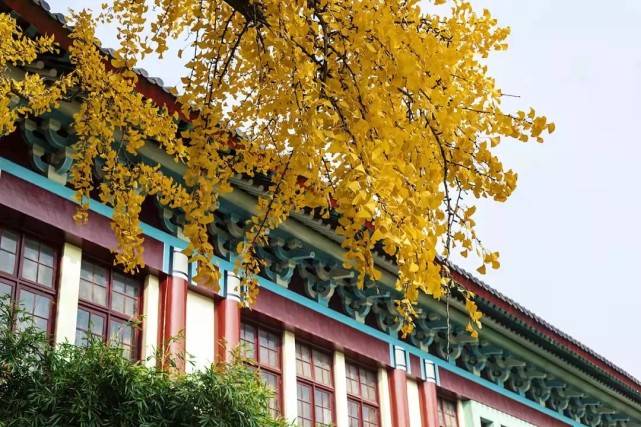 南京师范大学报录比，深度解析与前景展望