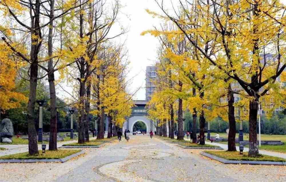 西南财经大学是否可称为名校？