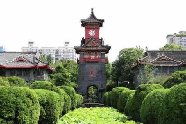 什么是护理学