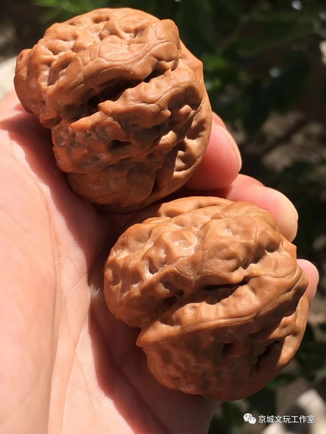 汉语专业，探索与深化