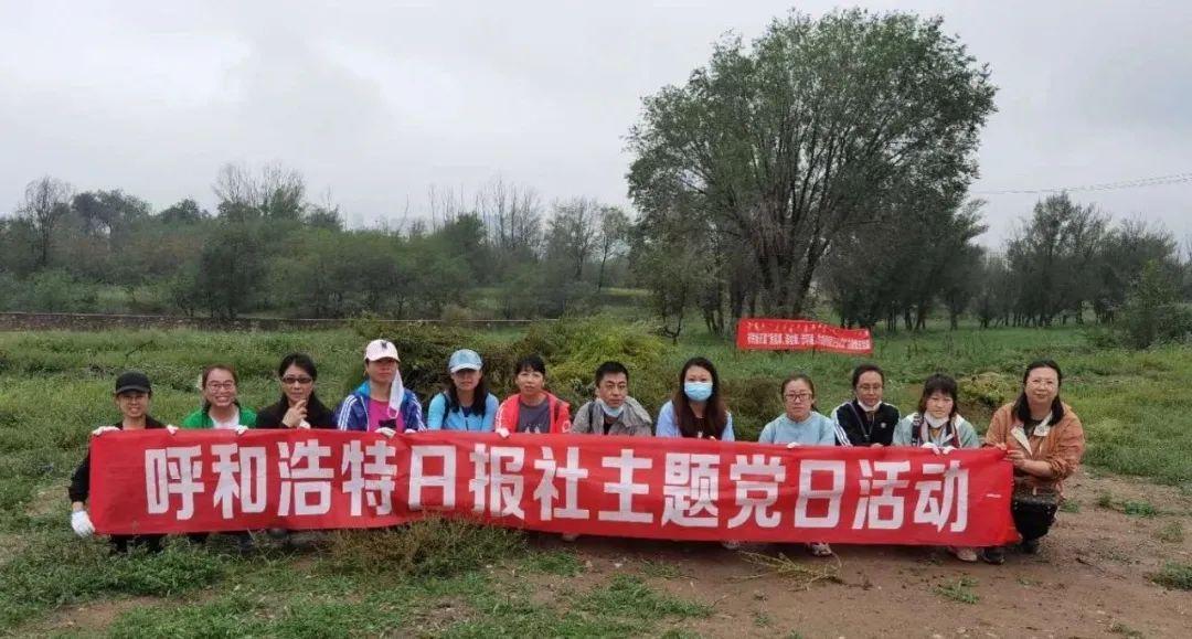 志愿清的意思及其内涵探讨