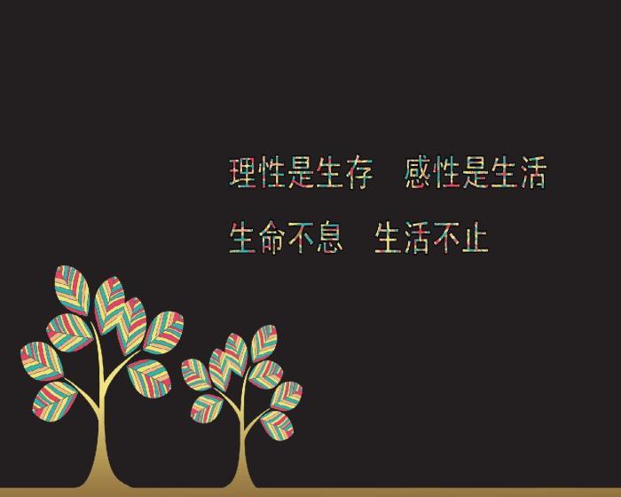 岁月荏再回首，时光如梭映人生百态