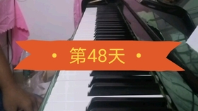 四肖八码中特期期准精选资料丿做牛做马{