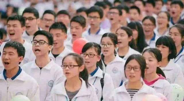 专科的专业有哪些，深度探索与解析