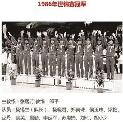 王杨卢骆，成就之巅的辉煌篇章
