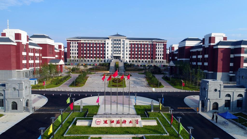 中国排名前十的大学，探索顶尖学府的魅力与实力
