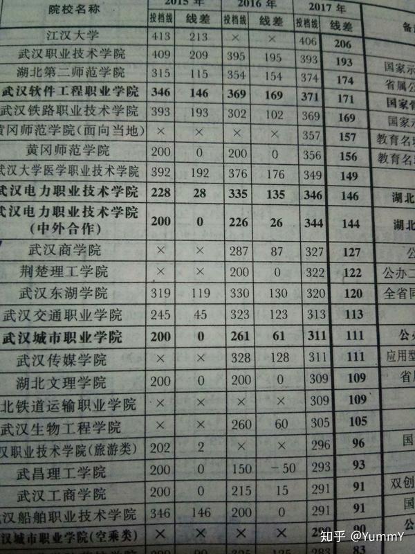 武汉专科大学排名及其影响力探讨