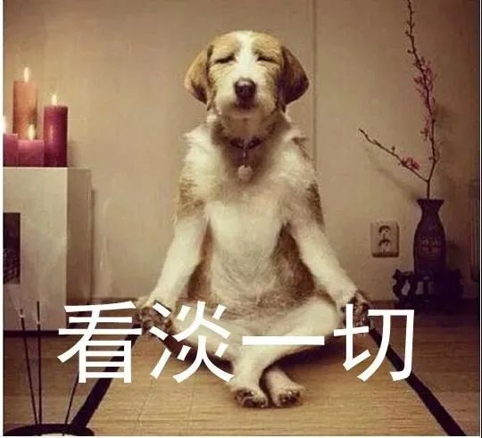 今晚买四不像+必中白姐{