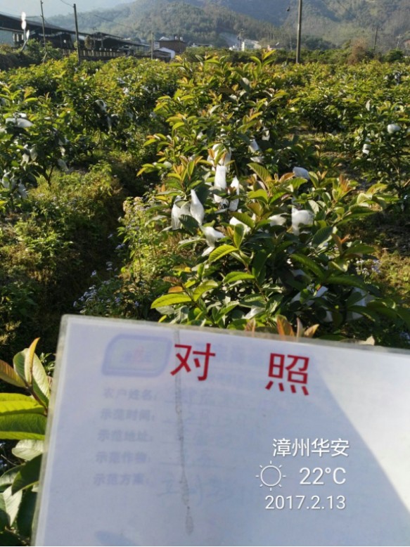 3d状元红心水高手论坛{