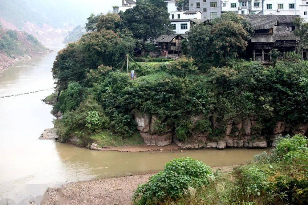 九龙图库助手app{