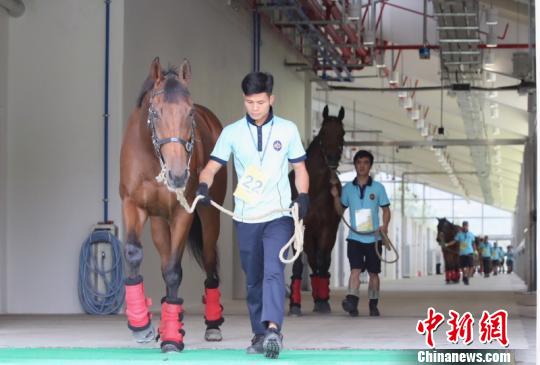 香港赛马会资料{