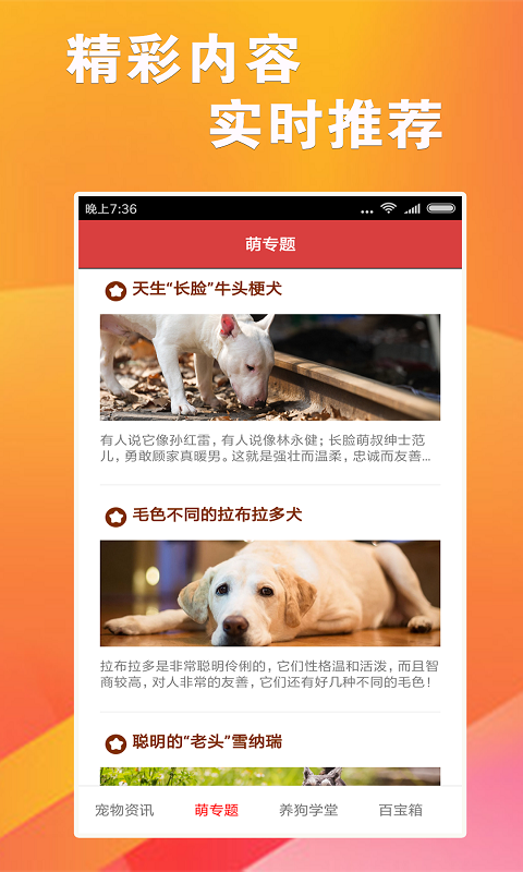 跑狗报a{