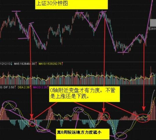 特马资料最准2024开奖前一天0期{