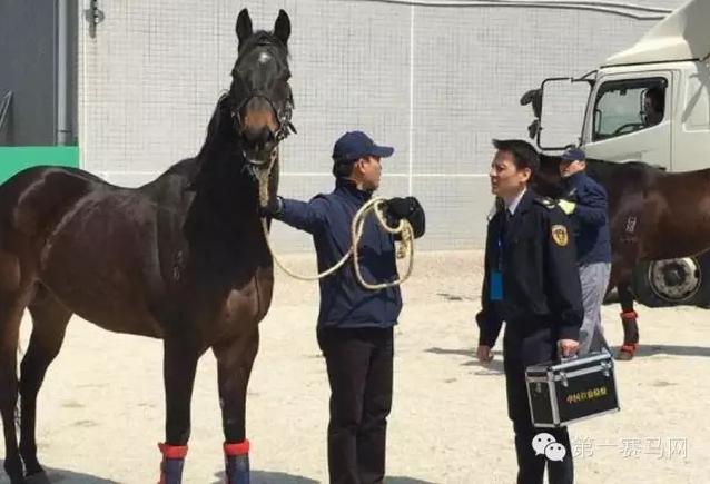 香港正版马会精选资料大全南方生肖有几个{