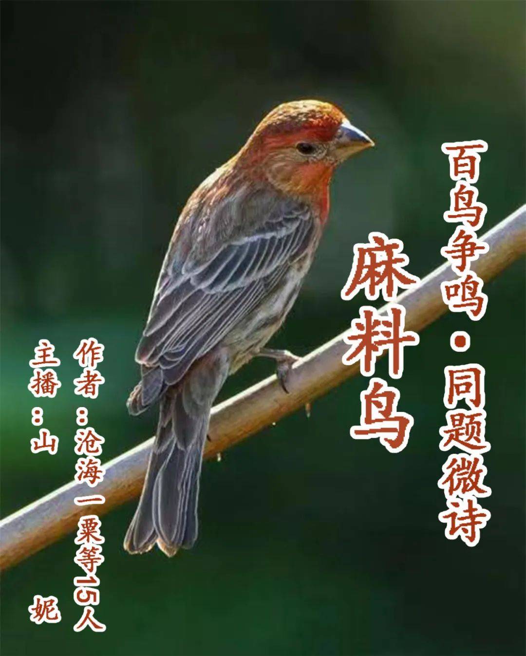 二肖二码长期免费公开马料{