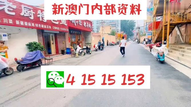 2024新澳门天天开好彩大全正版49图{