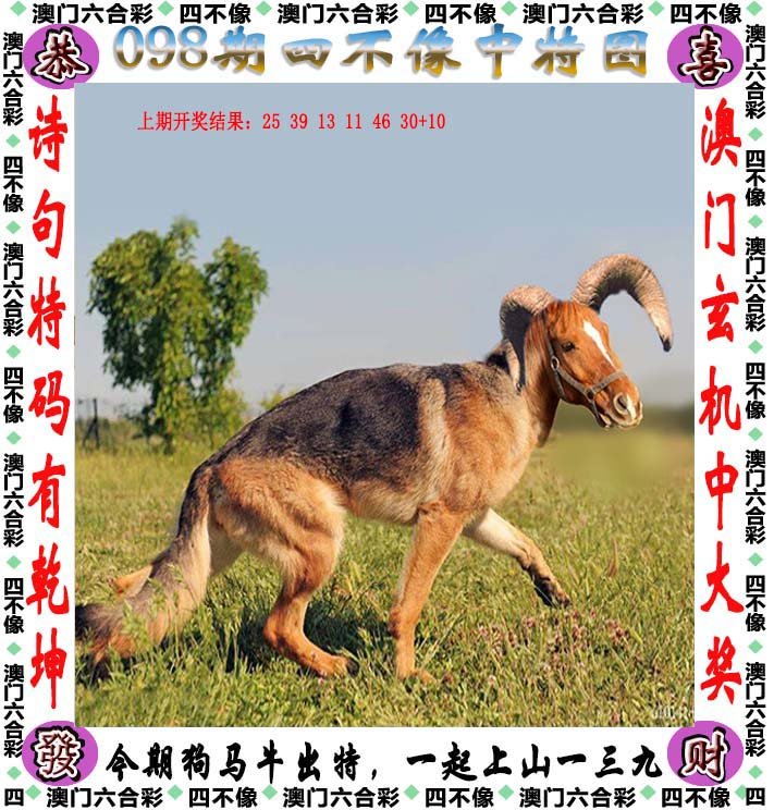 2025澳门精准正版免费四不像{