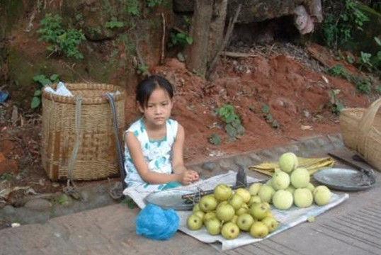 天下水果奶奶免费资料大全1{