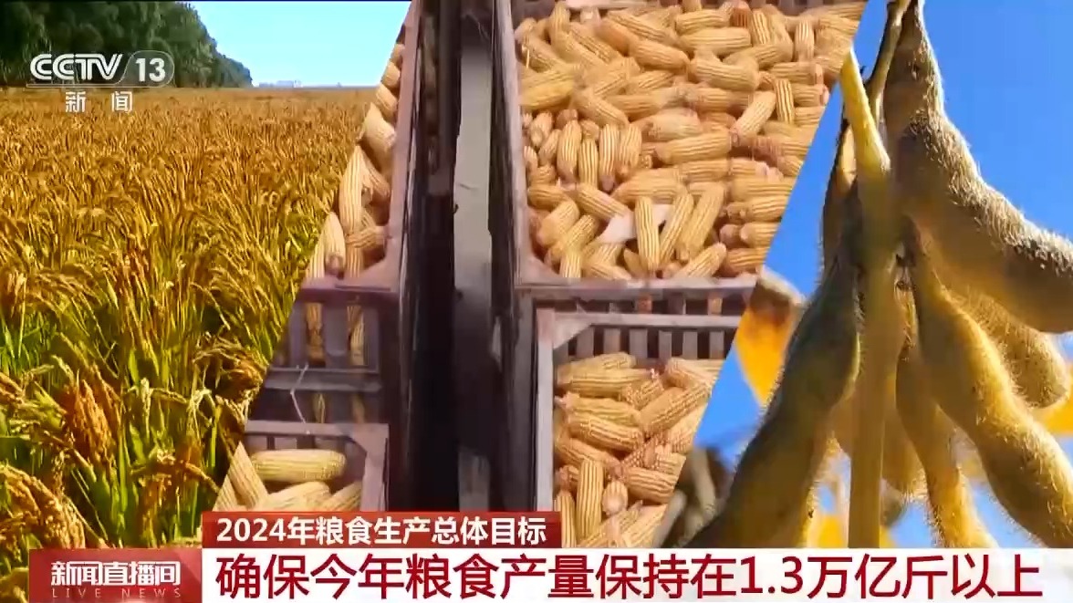 ww4949王中王2024年o{