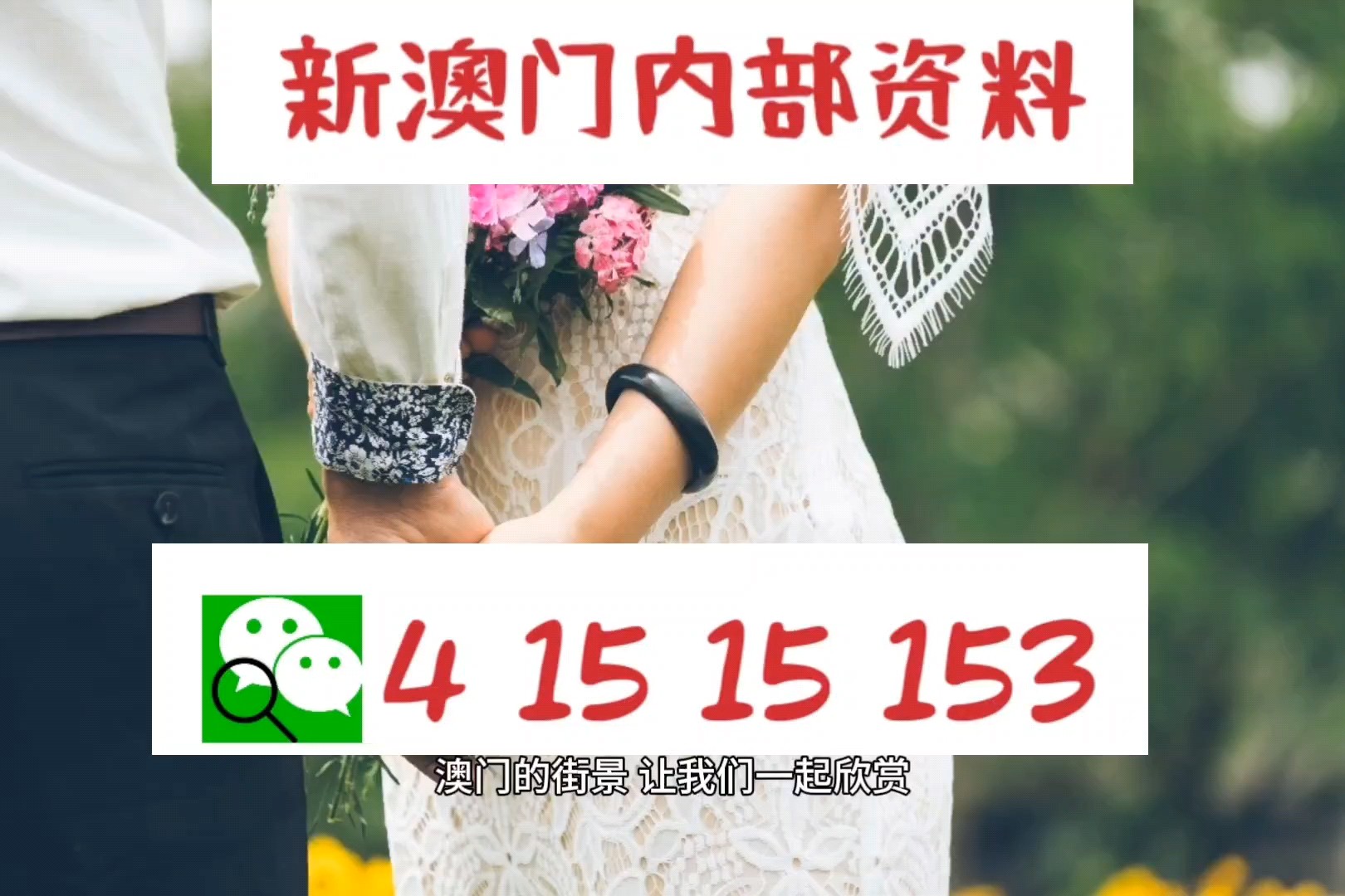 新澳门今期开奖结果查询网页{