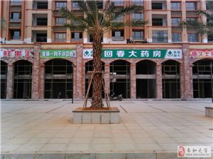 泰和论坛网站入口{