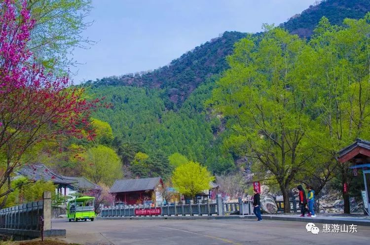 细心选择美景{