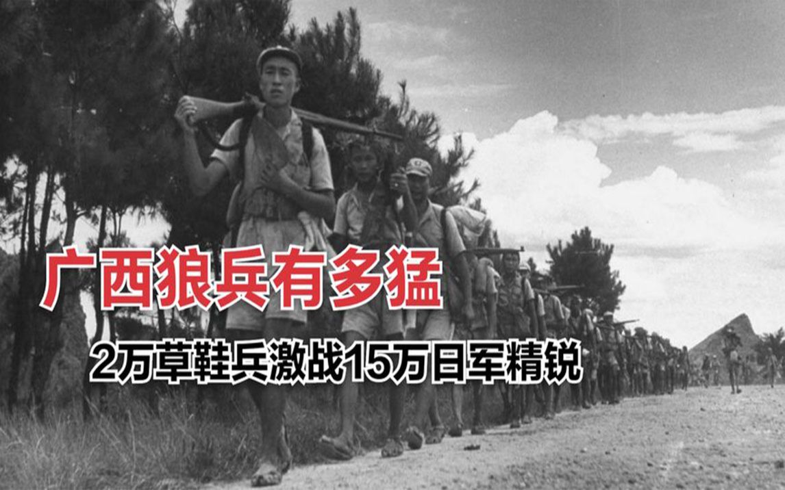 广西的狼精英主论坛12366{