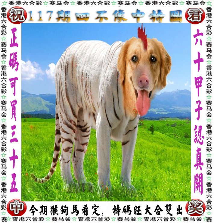 四不像王中王必出一肖今日{