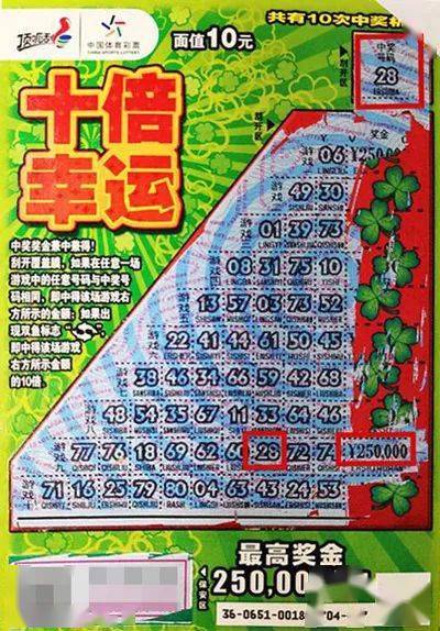 2025年6月3日 第4页