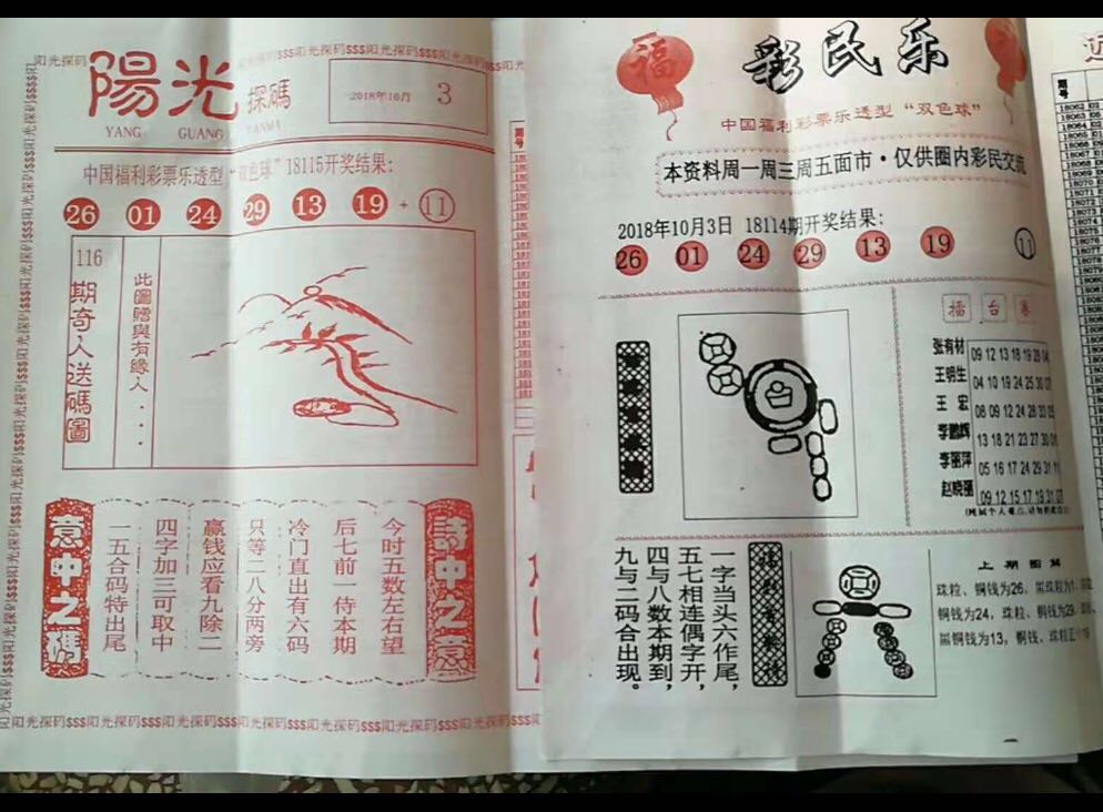 最新玄机图，探索未知的魅力与未来展望今期玄机透露图{